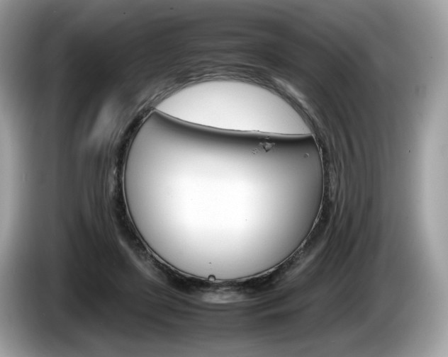X0000086230451200703290947