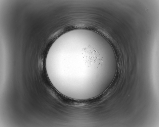 X0000086230454200703290947