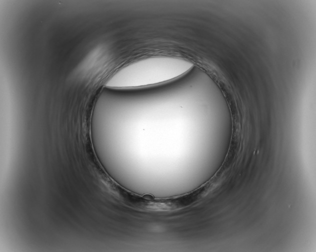 X0000086230457200703290947