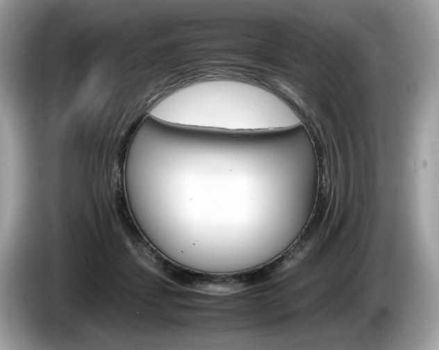 X0000086230459200703290947