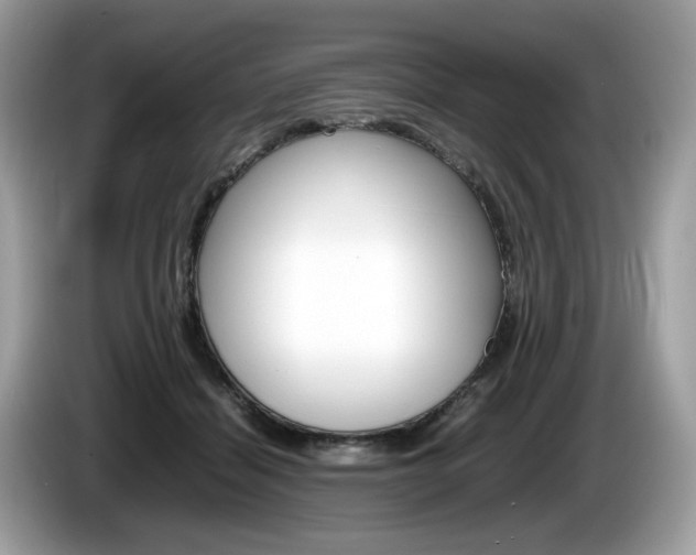 X0000086230460200703290947