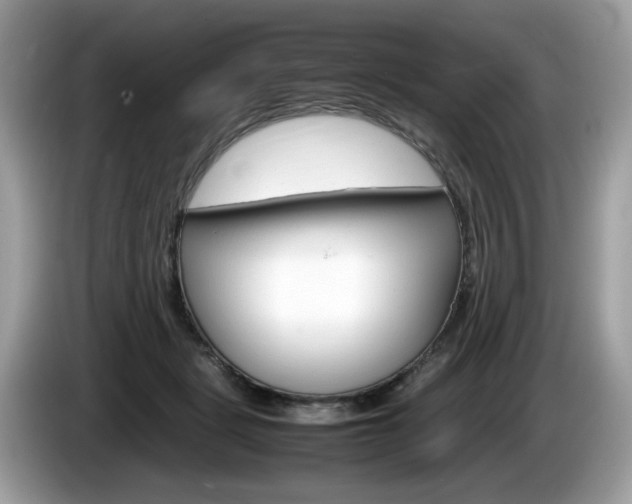 X0000086230461200703290947