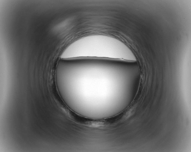 X0000086230462200703290947