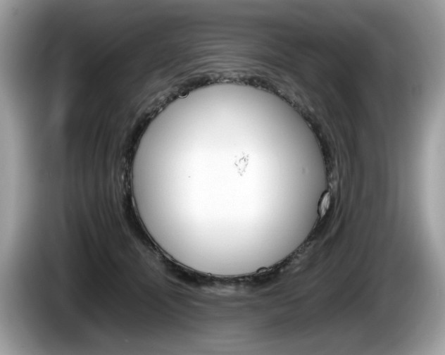 X0000086230464200703290947