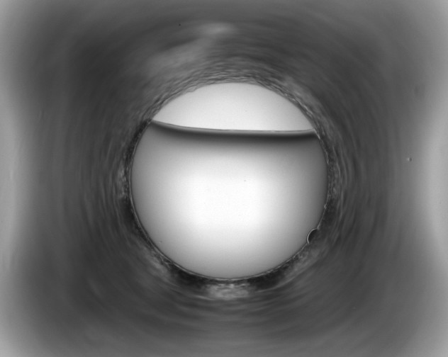 X0000086230465200703290947
