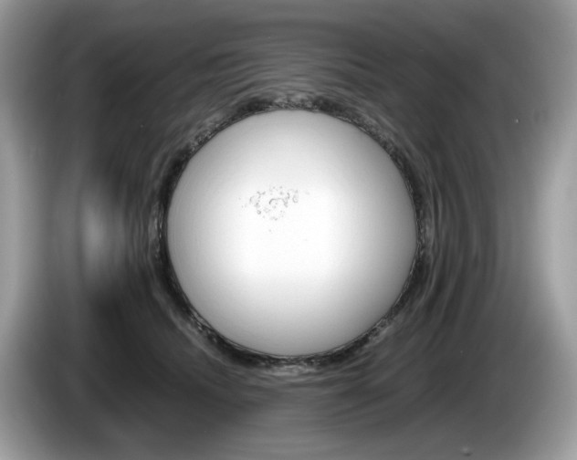 X0000086230468200703290947