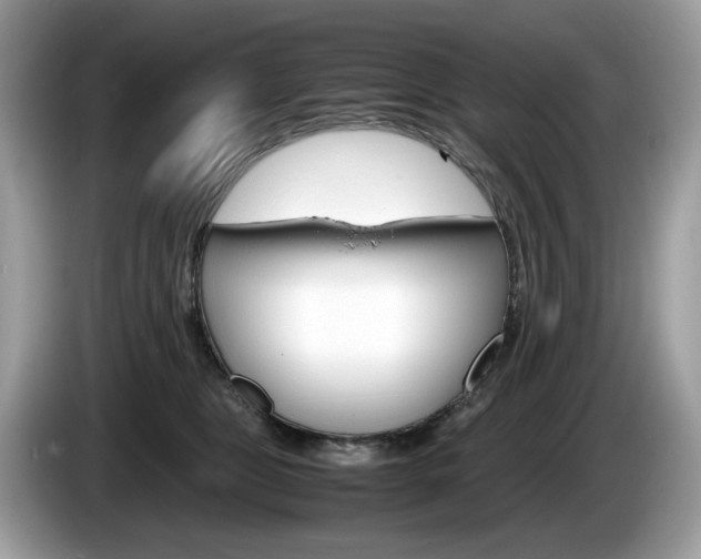 X0000086230469200703290947