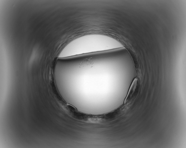 X0000086230470200703290947