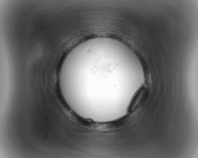 X0000086230472200703290947
