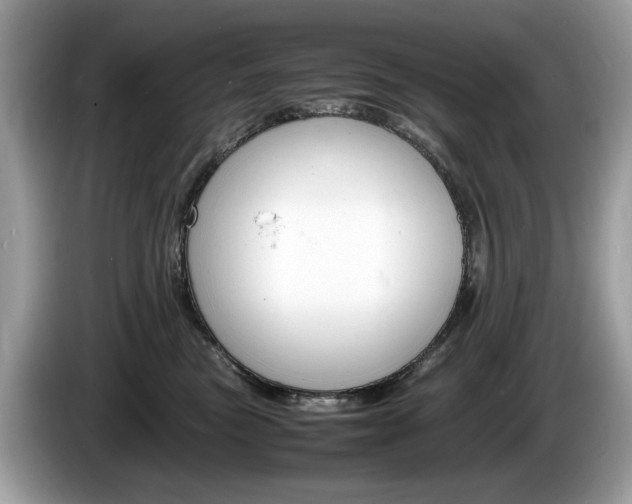X0000086230473200703290947