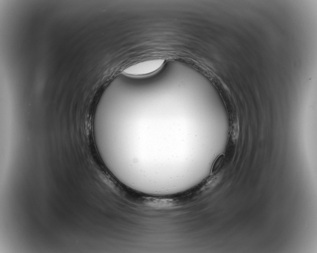 X0000086230476200703290947