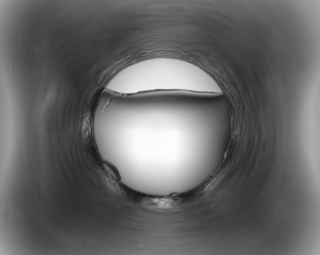 X0000086230478200703290947