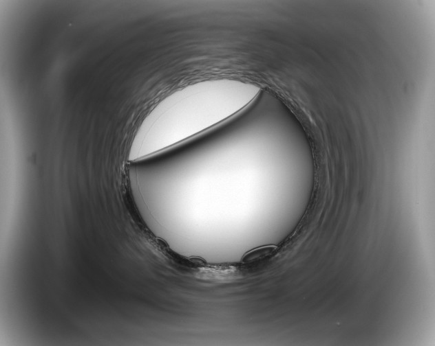 X0000086230480200703290947