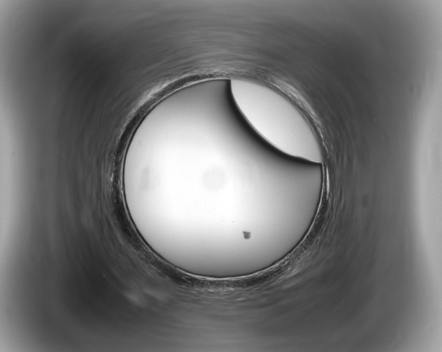 X0000086230483200703290947
