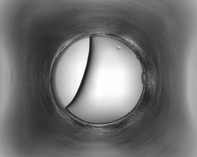 X0000086230486200703290947