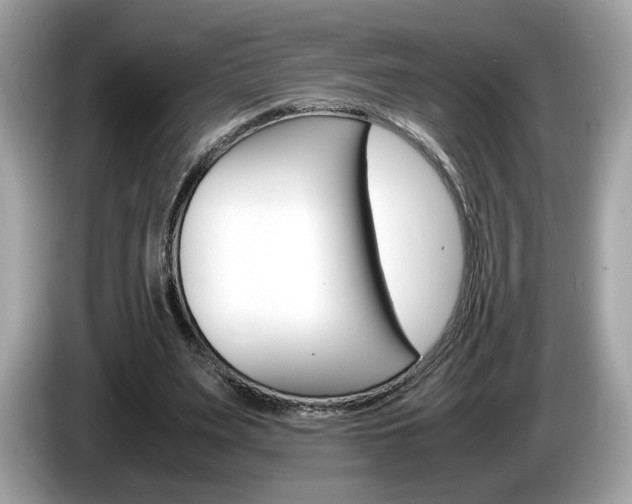 X0000086230487200703290947