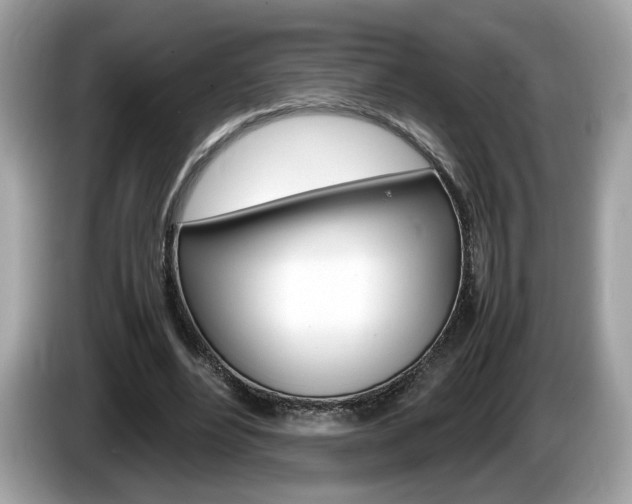 X0000086230488200703290947