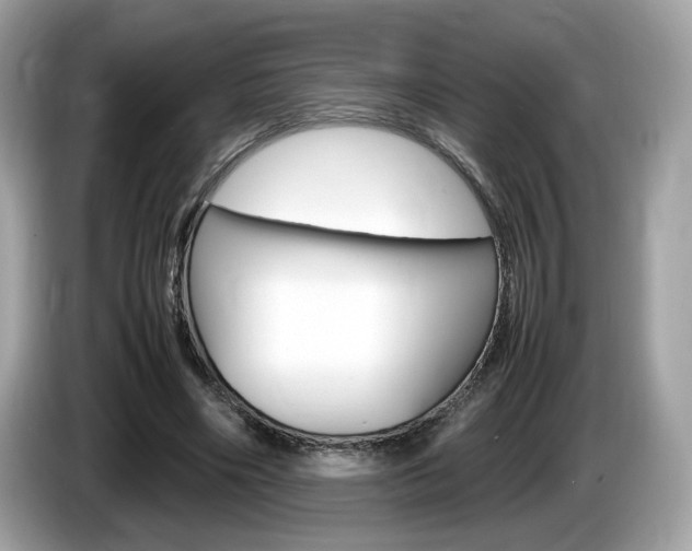 X0000086230490200703290947