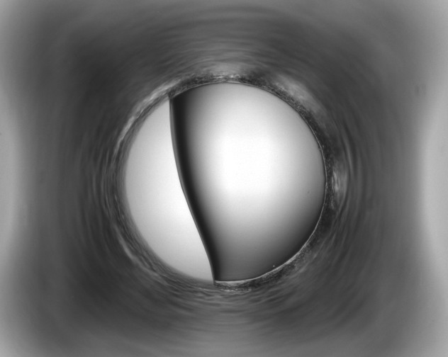 X0000086230492200703290947