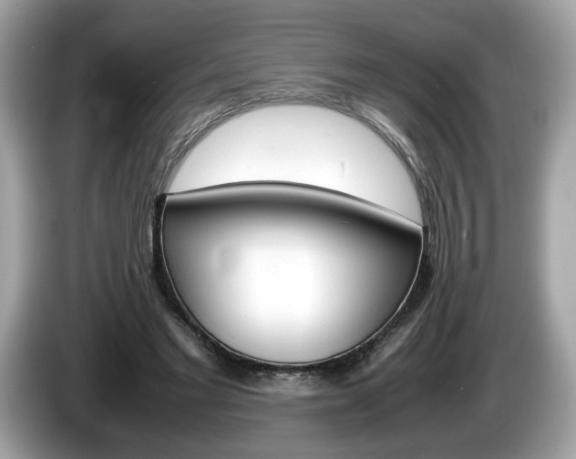 X0000086230493200703290947