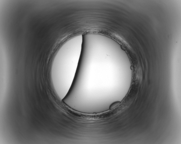 X0000086230494200703290947