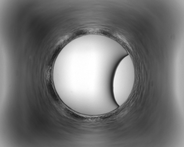 X0000086230495200703290947
