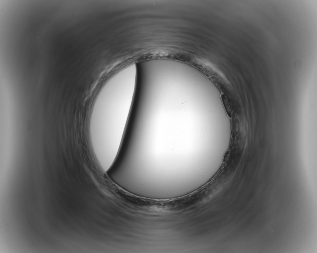 X0000086230496200703290947
