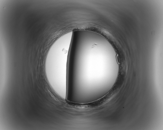 X0000086230497200703290947