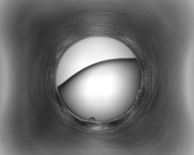X0000086230504200703290946