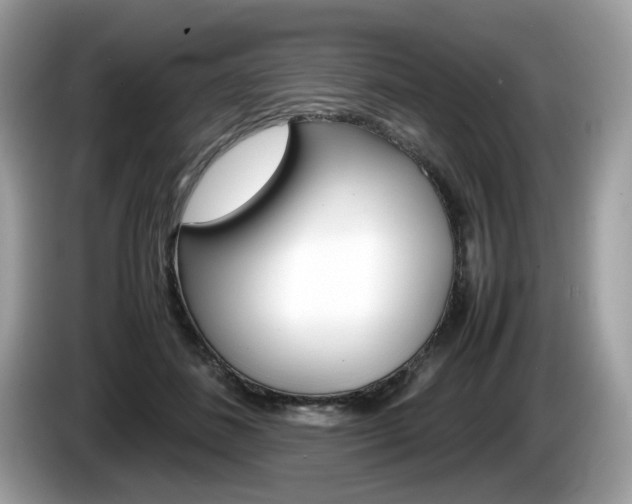 X0000086230508200703290946