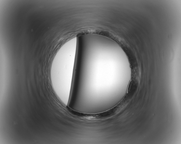 X0000086230509200703290946