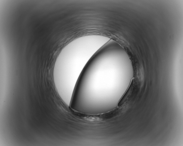 X0000086230512200703290946