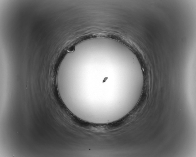 X0000086230513200703290946