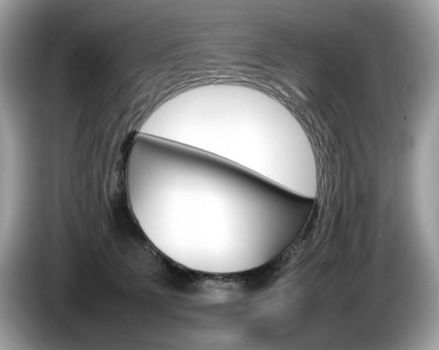 X0000086230515200703290946