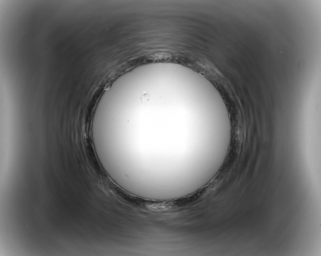 X0000086230516200703290946
