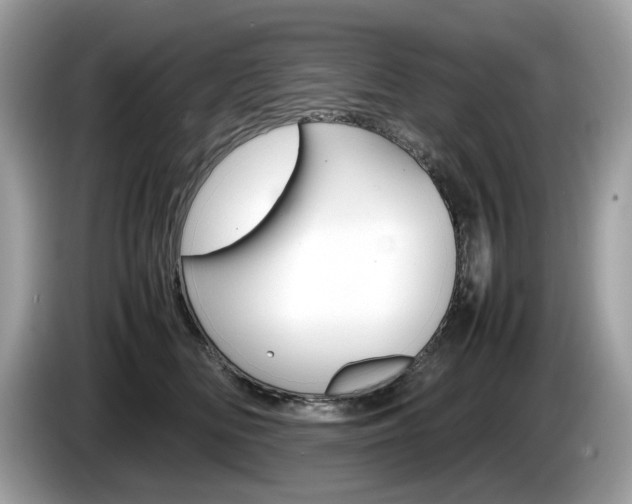 X0000086230518200703290946