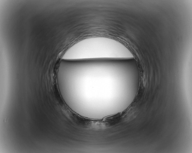 X0000086230520200703290946