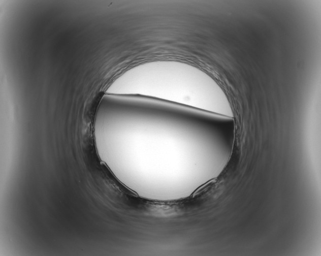 X0000086230521200703290946