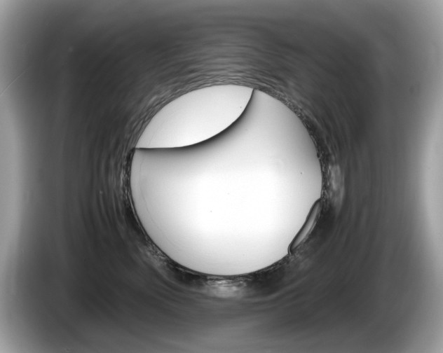 X0000086230522200703290946