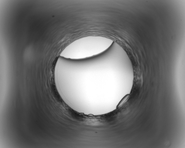 X0000086230523200703290946