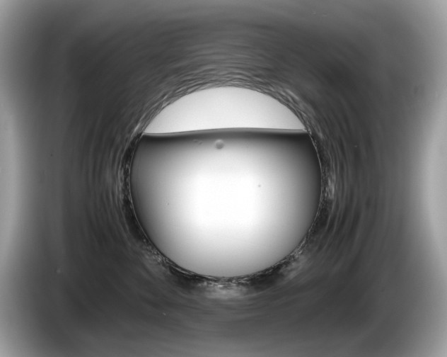 X0000086230524200703290946