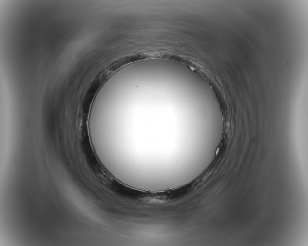 X0000086230525200703290946