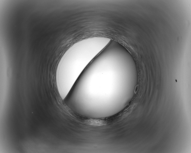 X0000086230528200703290946