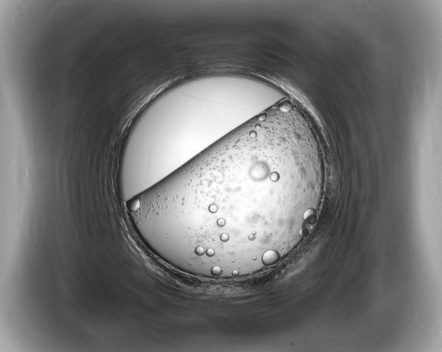 X0000086230529200703290945