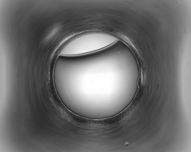 X0000086230531200703290945