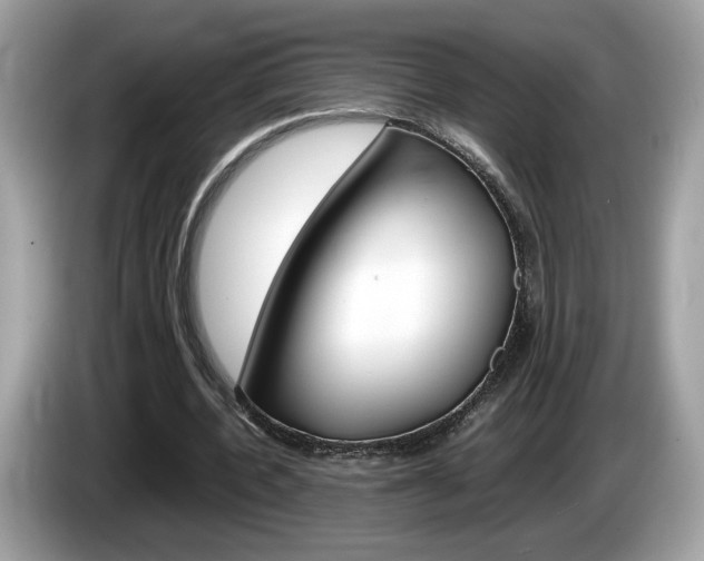 X0000086230532200703290945