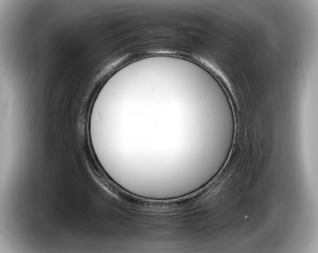 X0000086230533200703290945
