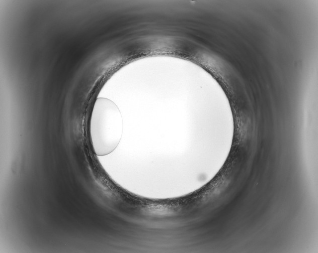 X0000086230534200703290945