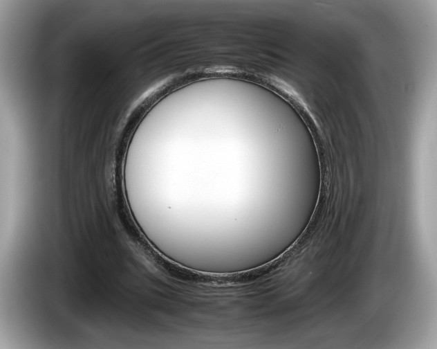X0000086230535200703290946