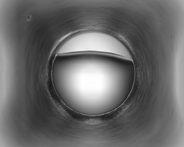 X0000086230536200703290946